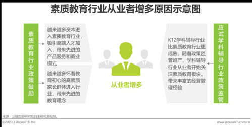 2020年中國素質教育行業研究報告 